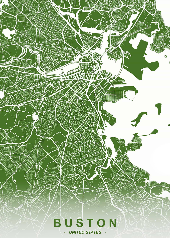 Boston City Map Moss