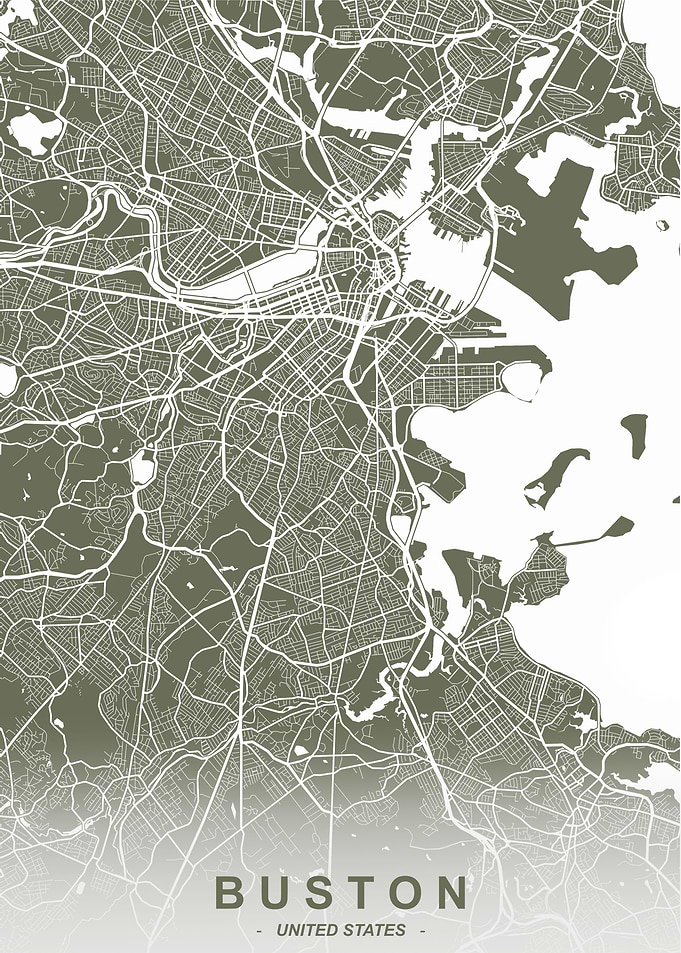 Boston City Map Fir