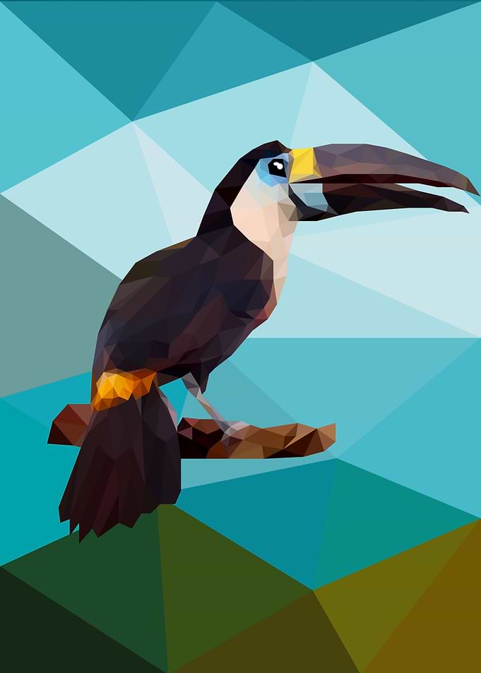 Hornbill