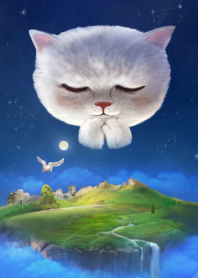 Praying Cat