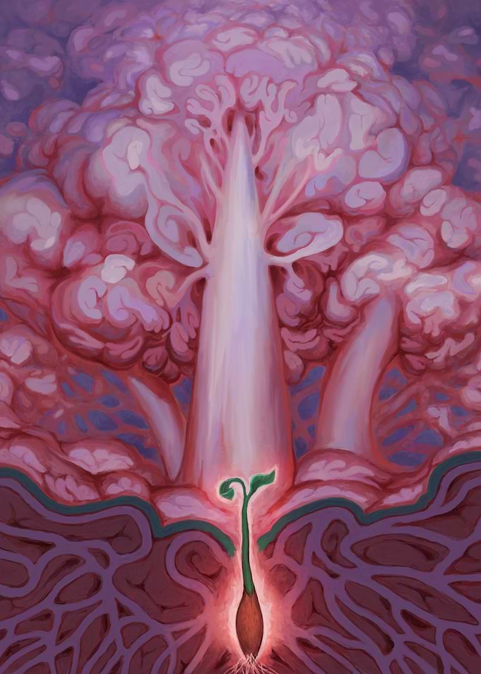 The Seed