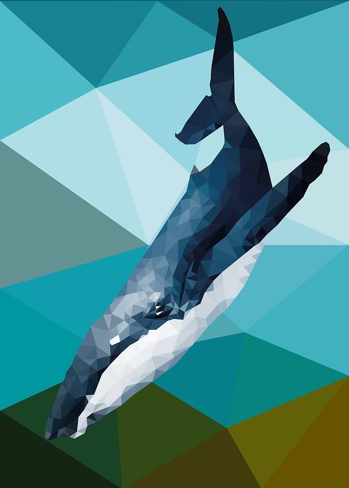 Whale