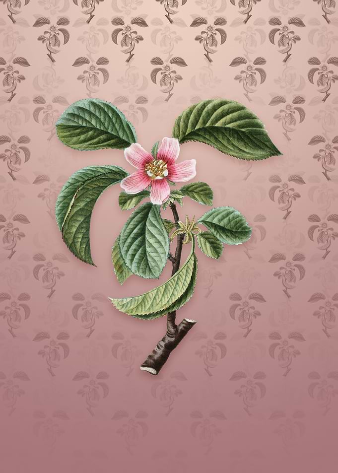 Vintage Chinese Quince