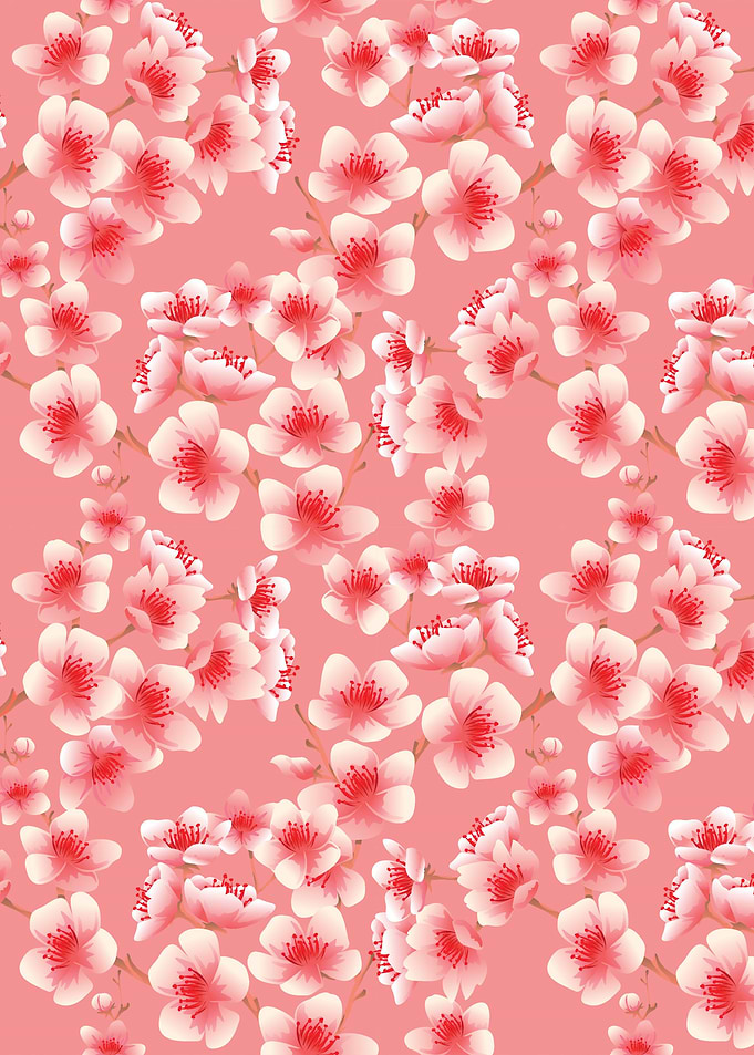 Cherry Blossom Flower 12