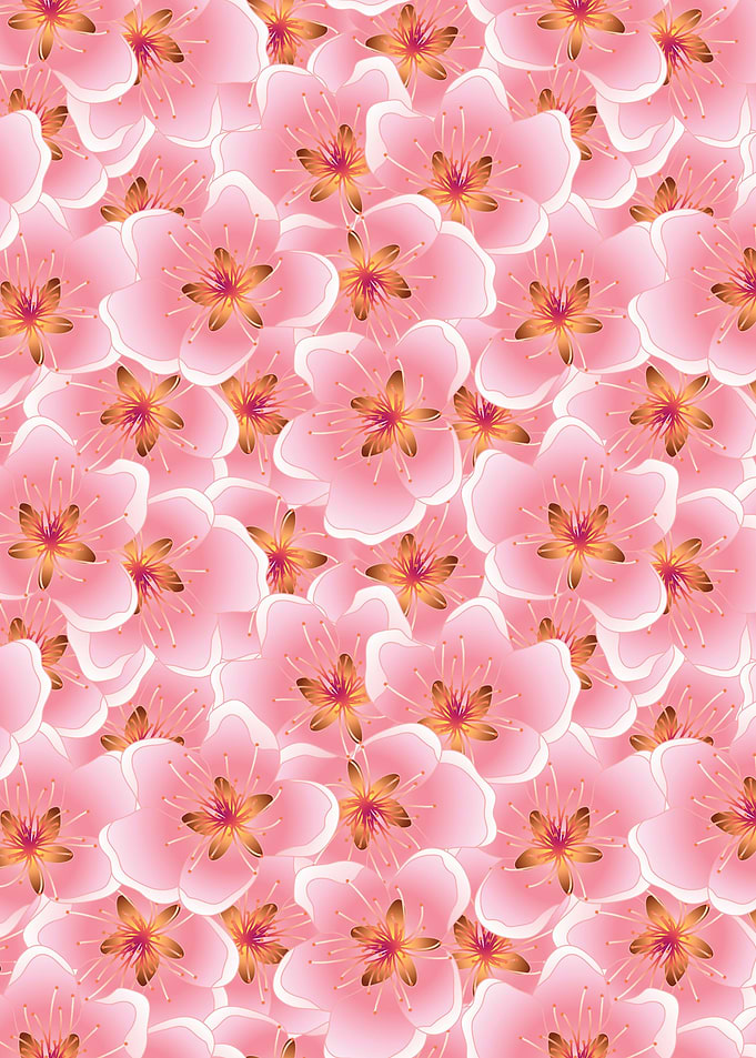 Cherry Blossom Flower 13