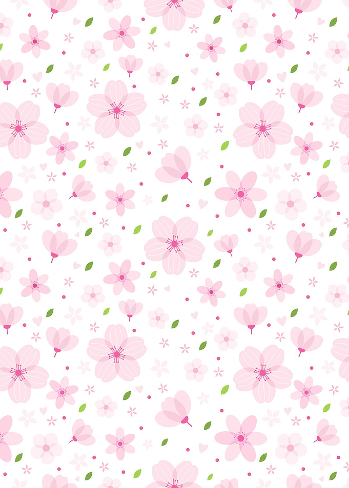 Cherry Blossom Flower 19