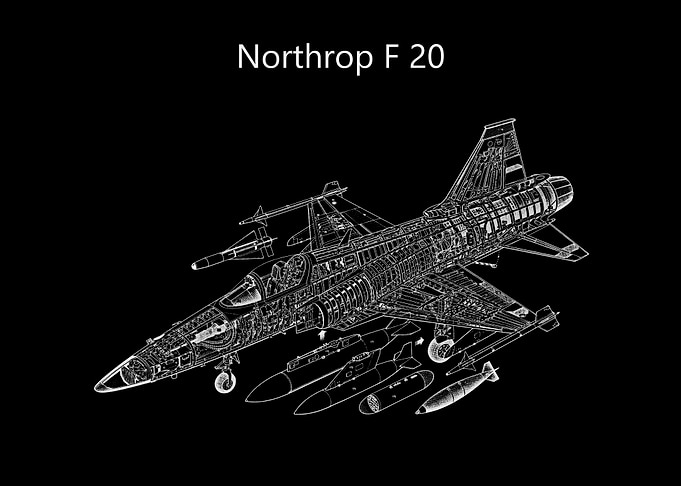 Northrop F 20