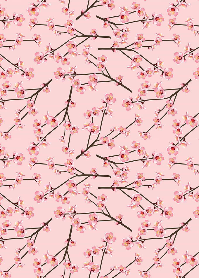 Cherry Blossom Flower 14