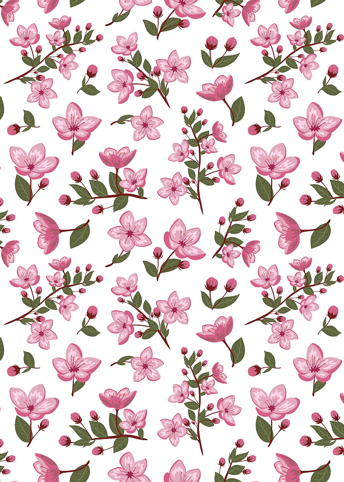 Cherry Blossom Flower 15