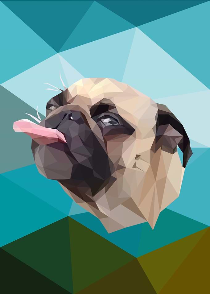 Pug