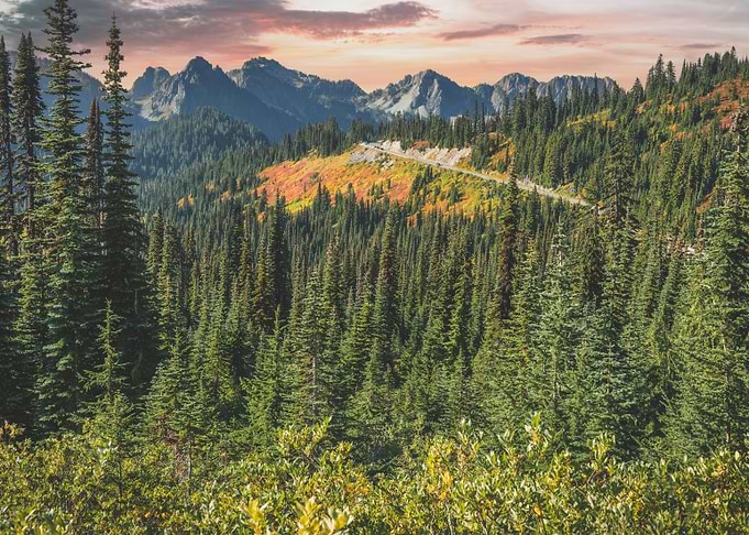 Mount Rainier Paradise
