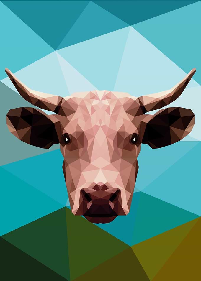 Cattle
