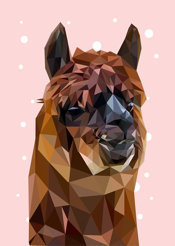 animal portrait alpaca