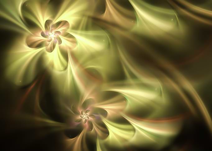 Abstract Flowers