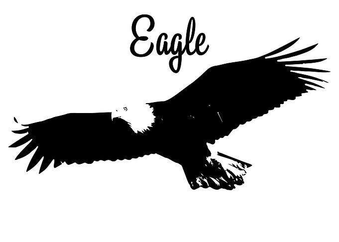 Eagle