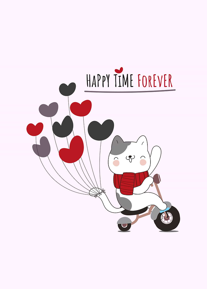 cute cat on bicycle