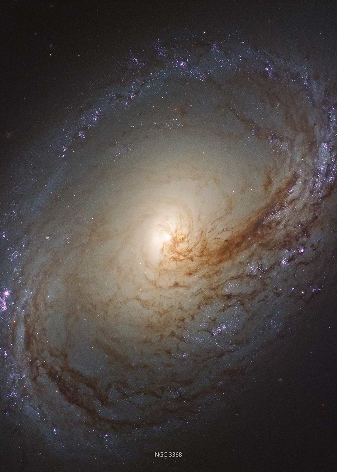 NGC 3368
