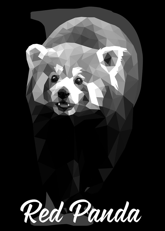 Red Panda
