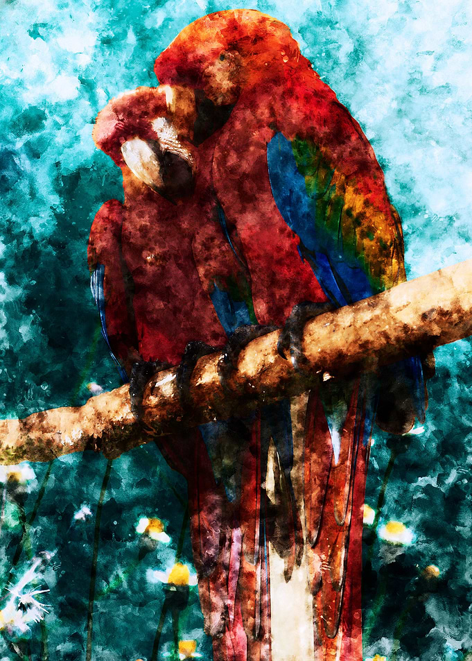 Parrots