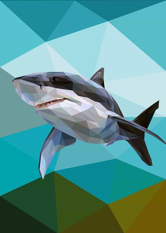 Shark