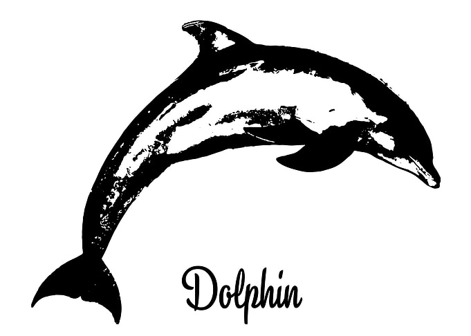 Dolphin
