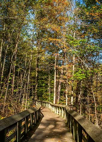 Cuyahoga National Park OH
