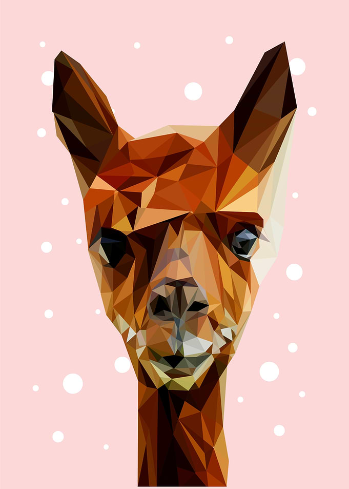 animal portrait alpaca