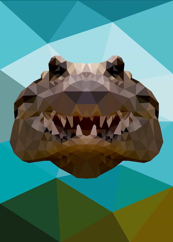 Alligator