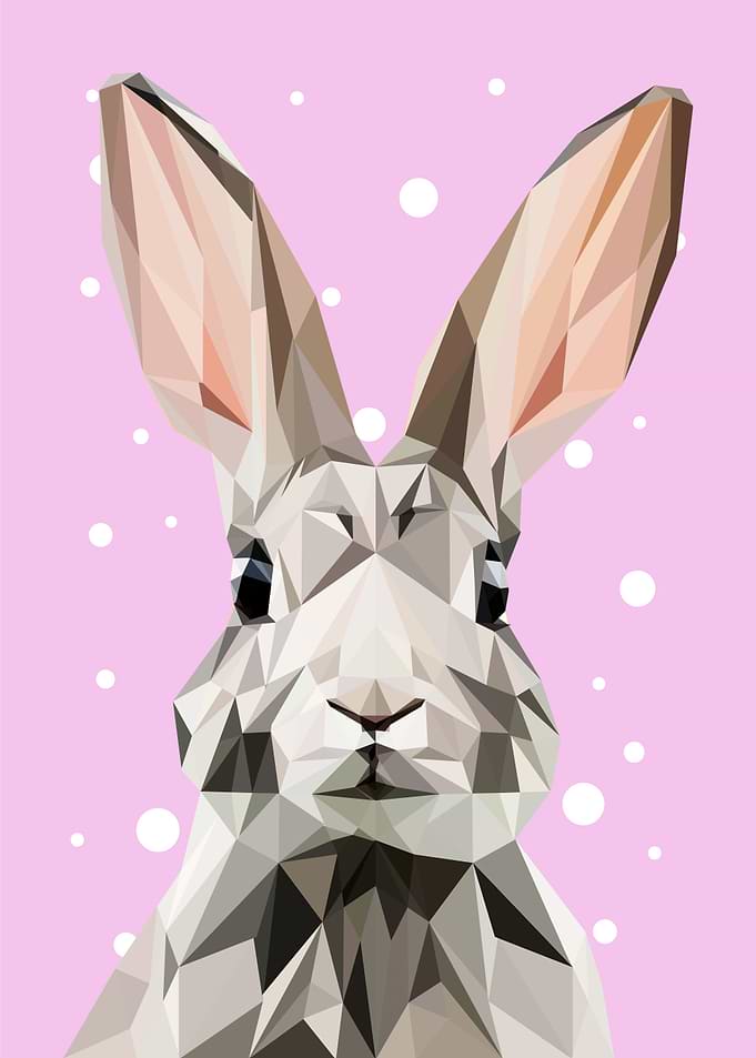 animal portrait rabbit