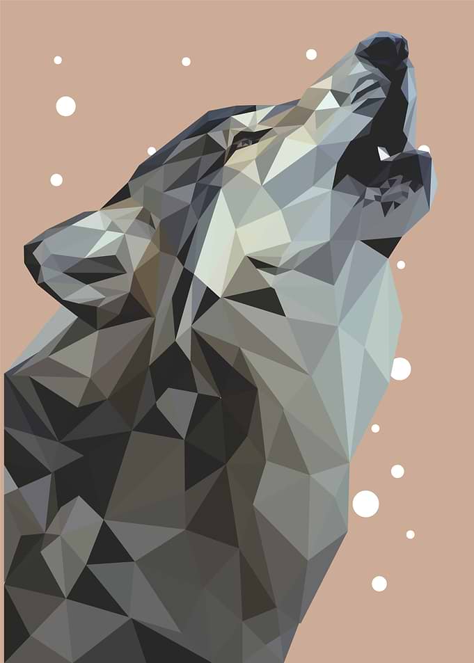 animal portrait wolf