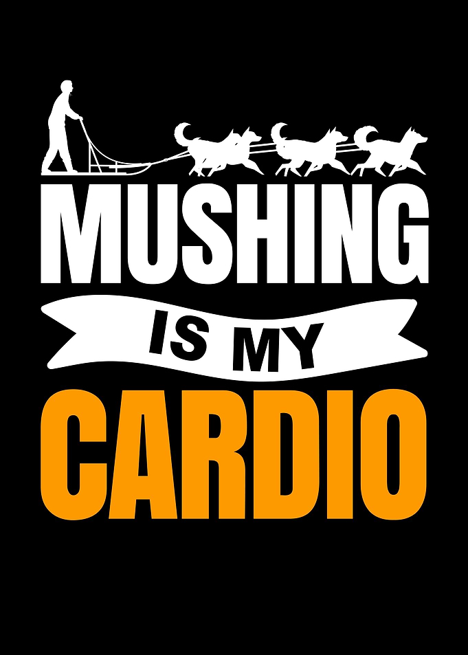 Funny Mushing Sleds Dog