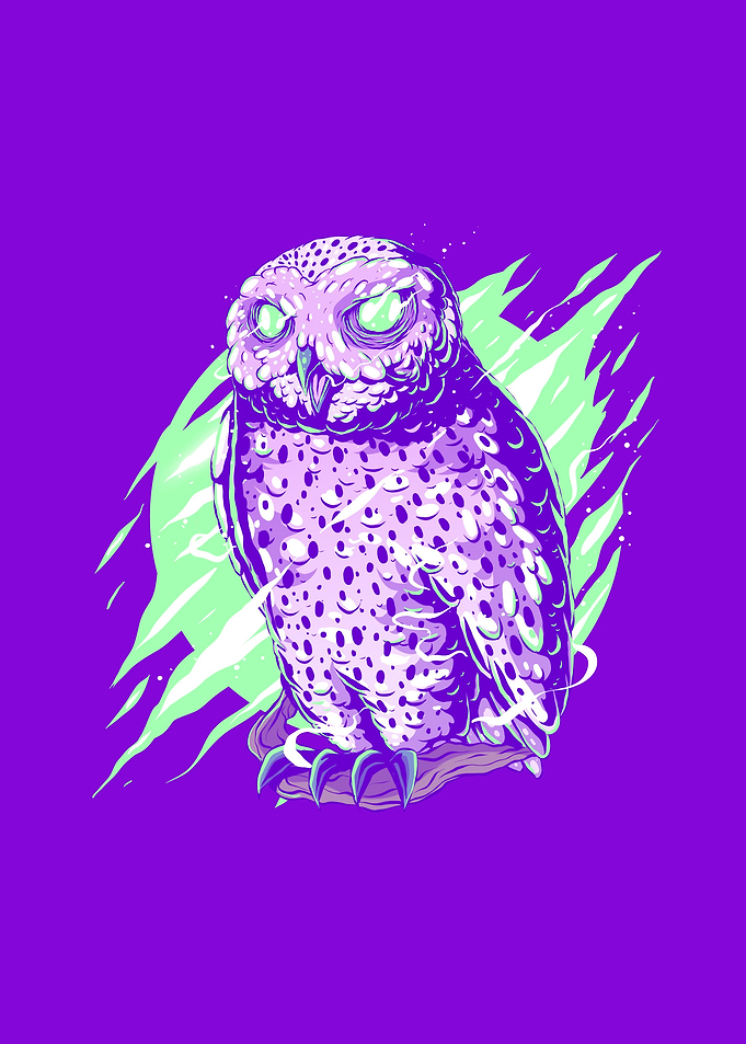 Colorful abstract owl