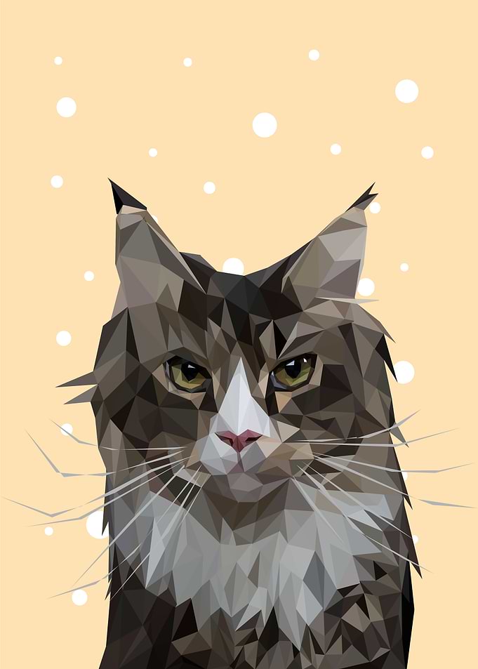 animal portrait cat