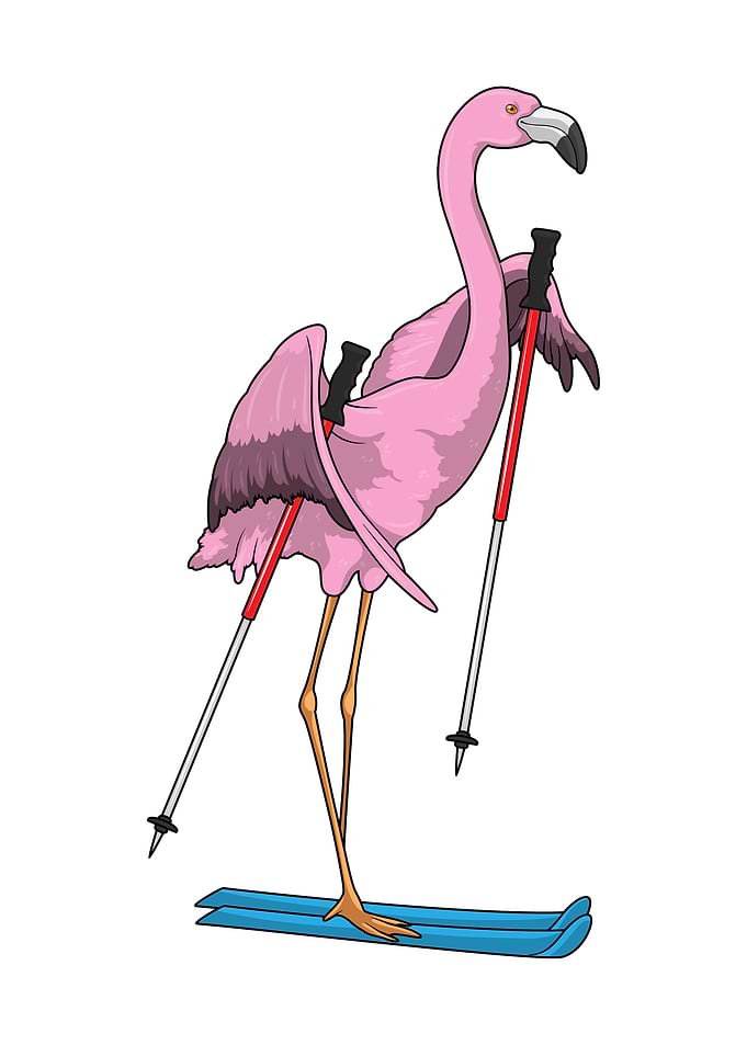 Flamingo Skier Ski