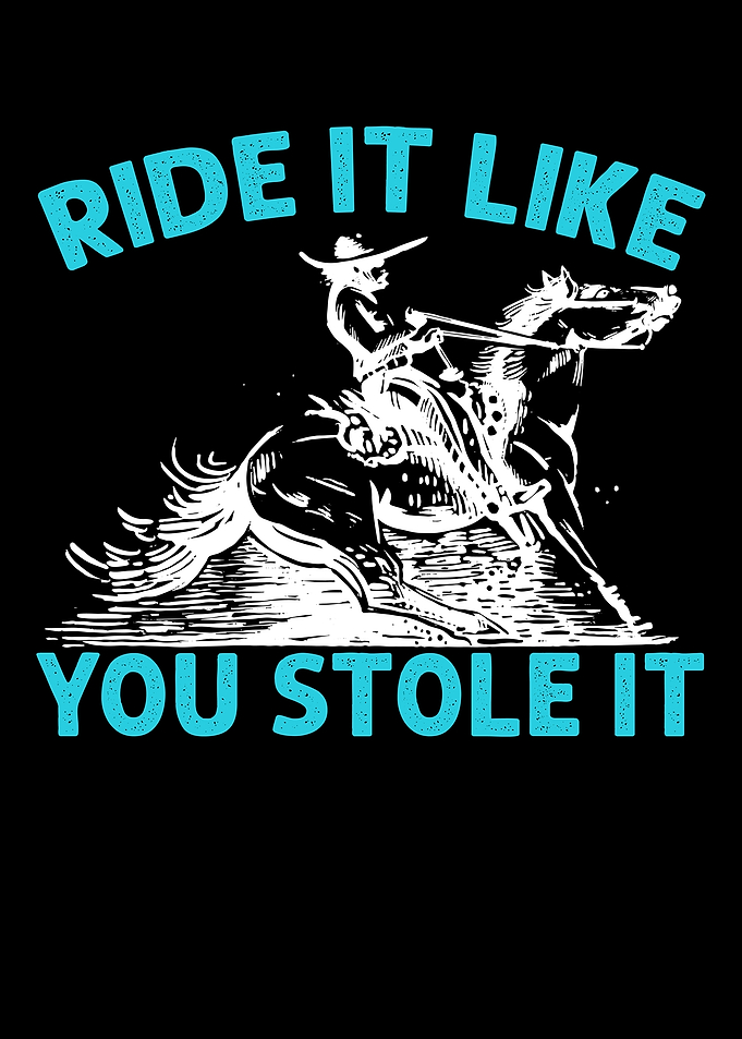 Ride It Like You Stole It