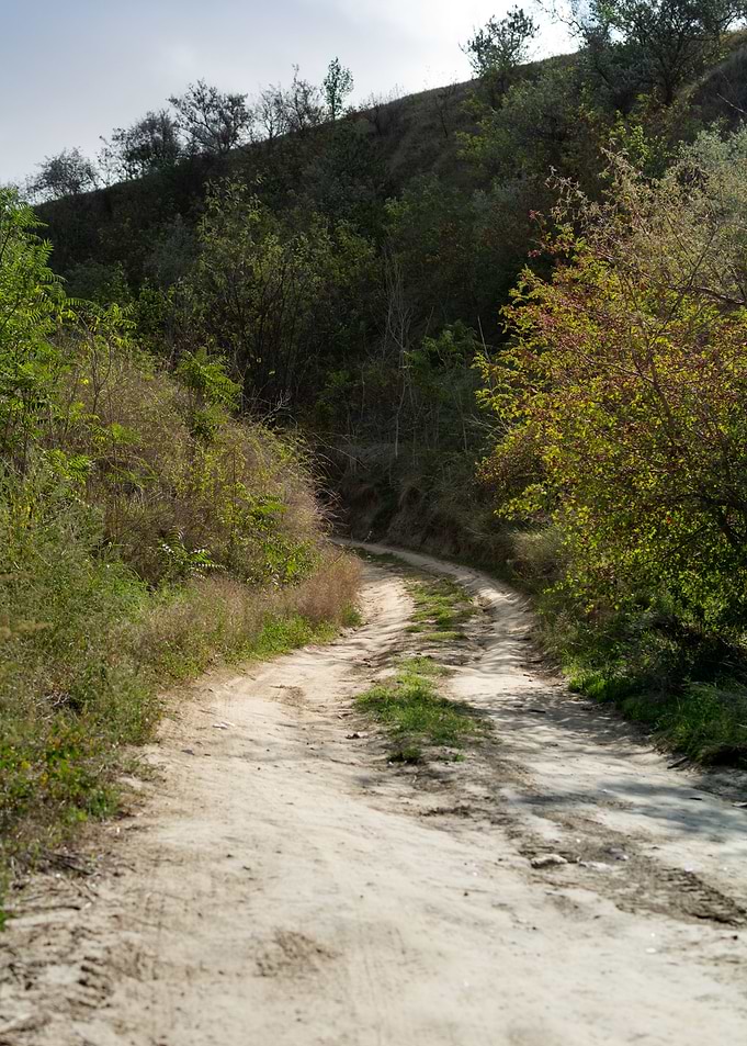 Path in the mountain