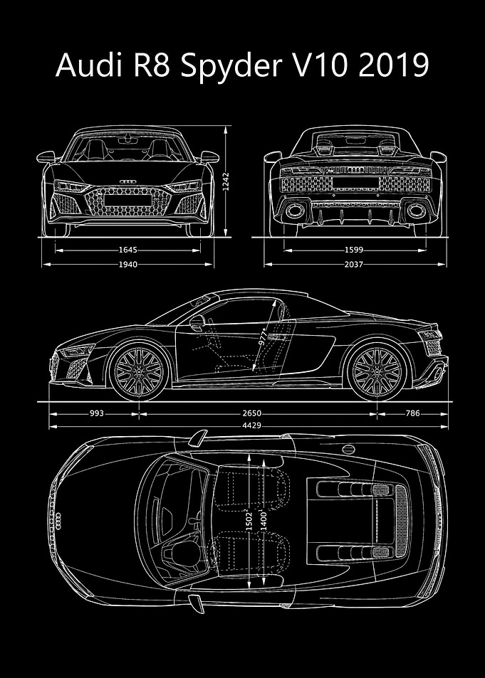 Audi R8 Spyder V10 2019