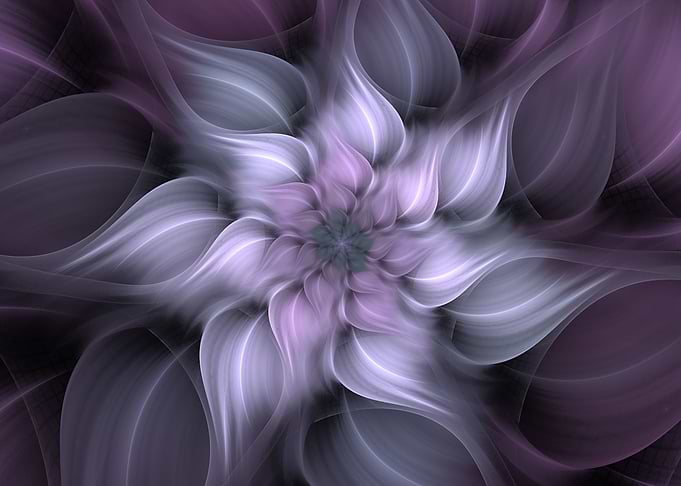 Abstract Flower Lavender