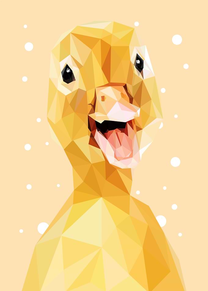 animal portrait duck