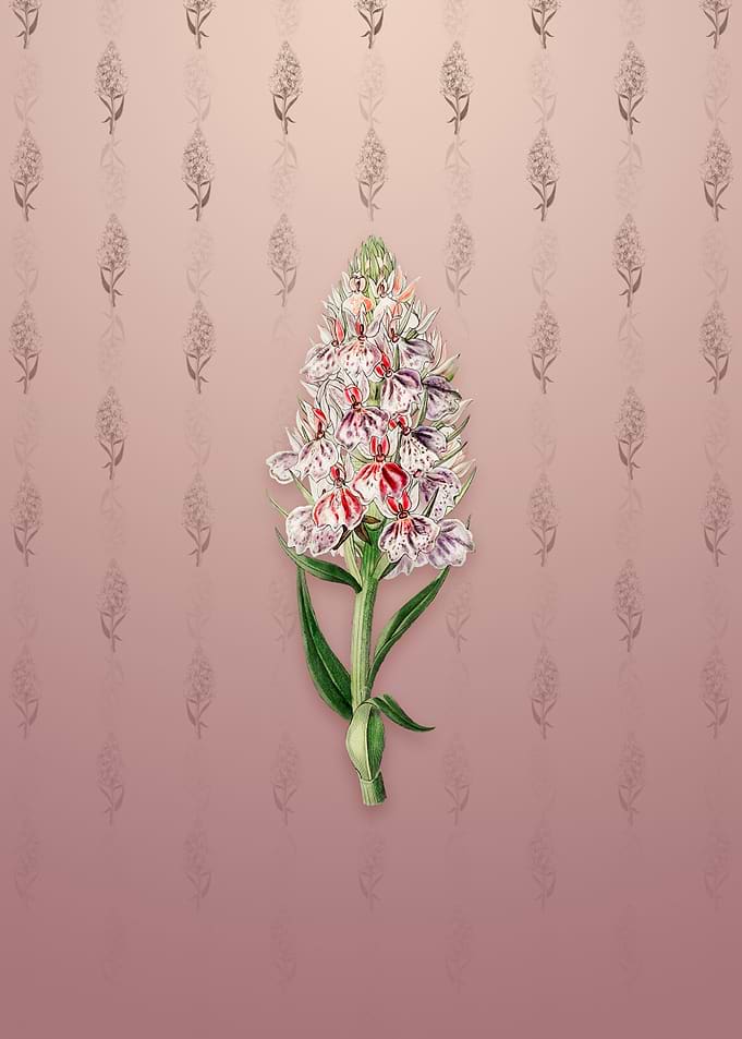 Leafy Spiked Orchis Flower