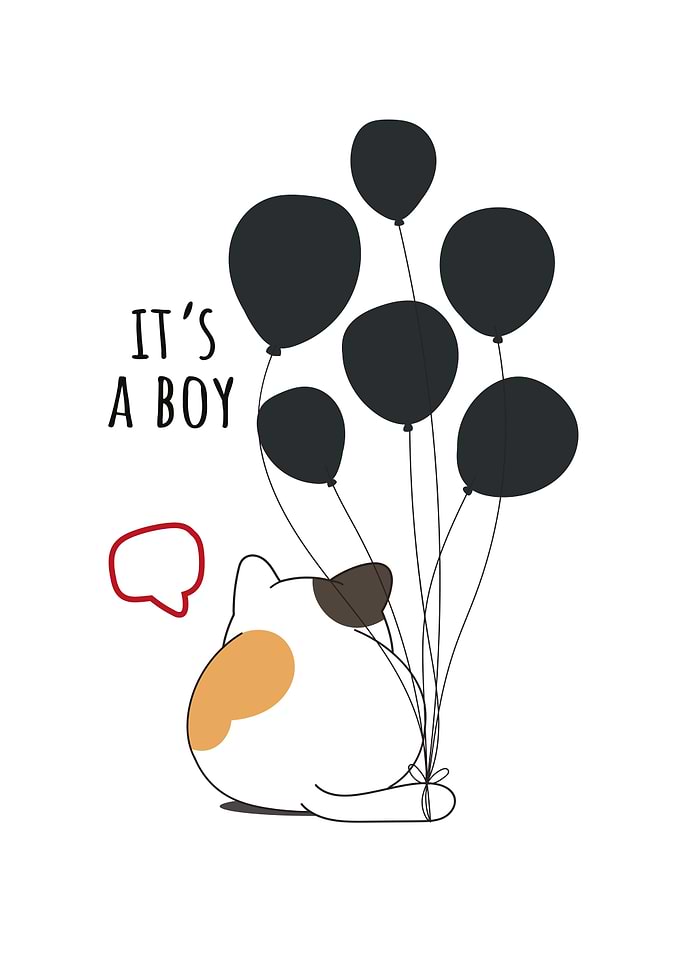 Cute Cat With Balloons
