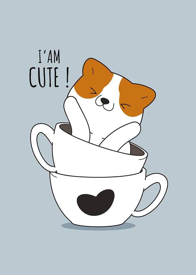 I am Cute Cat