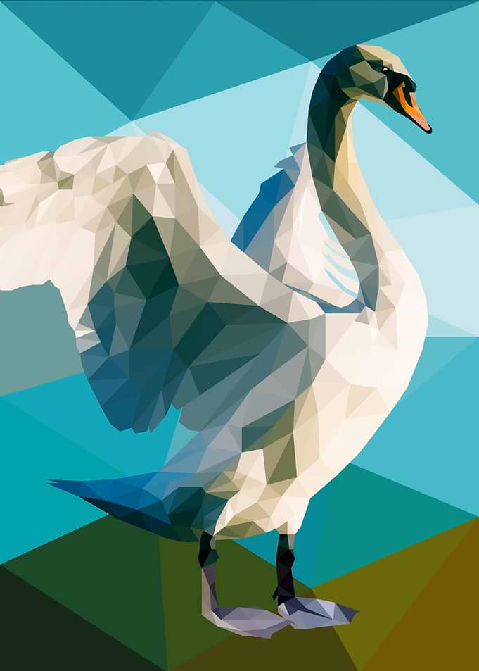 Swan