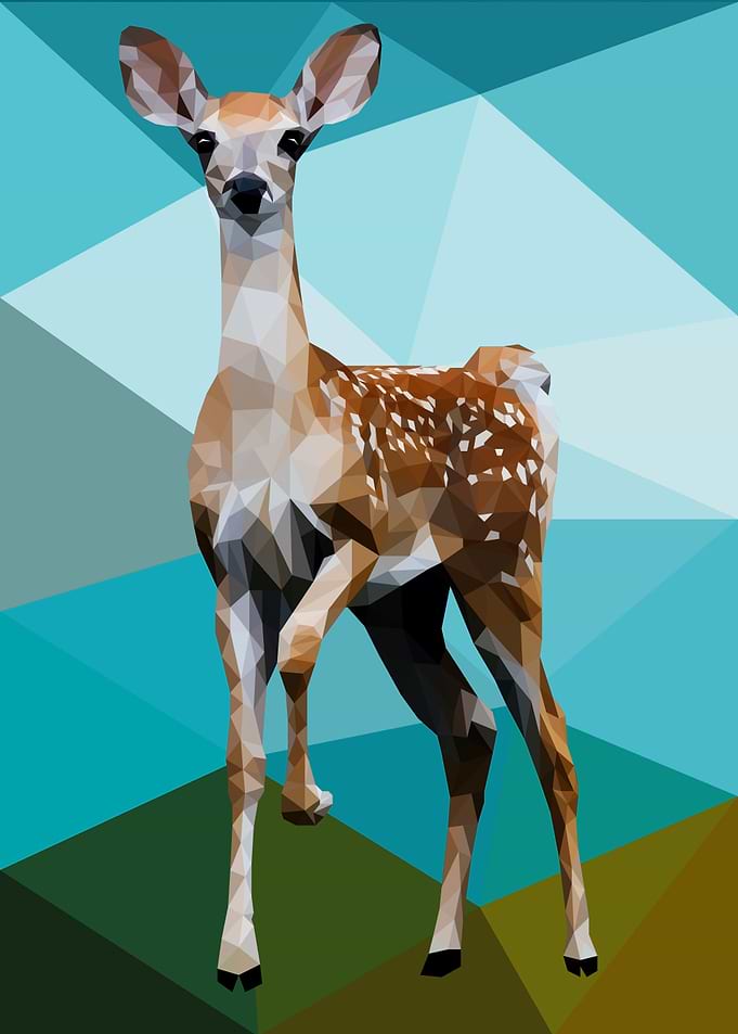 Deer