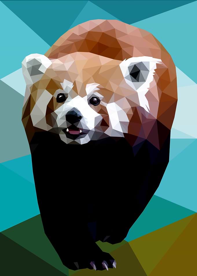 Red Panda