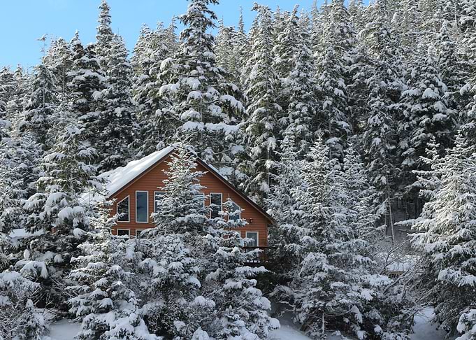 Hidden snow cabin