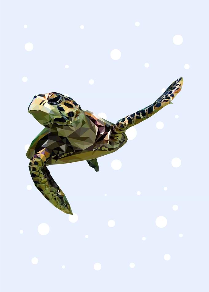 animal portrait tortoise