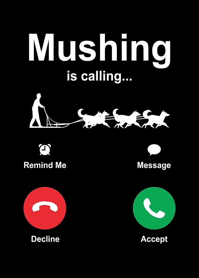Funny Mushing Sleds Dog