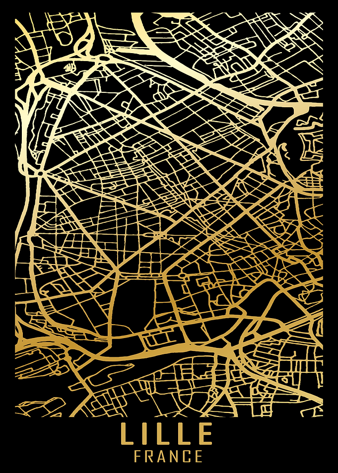 Lille France City Map