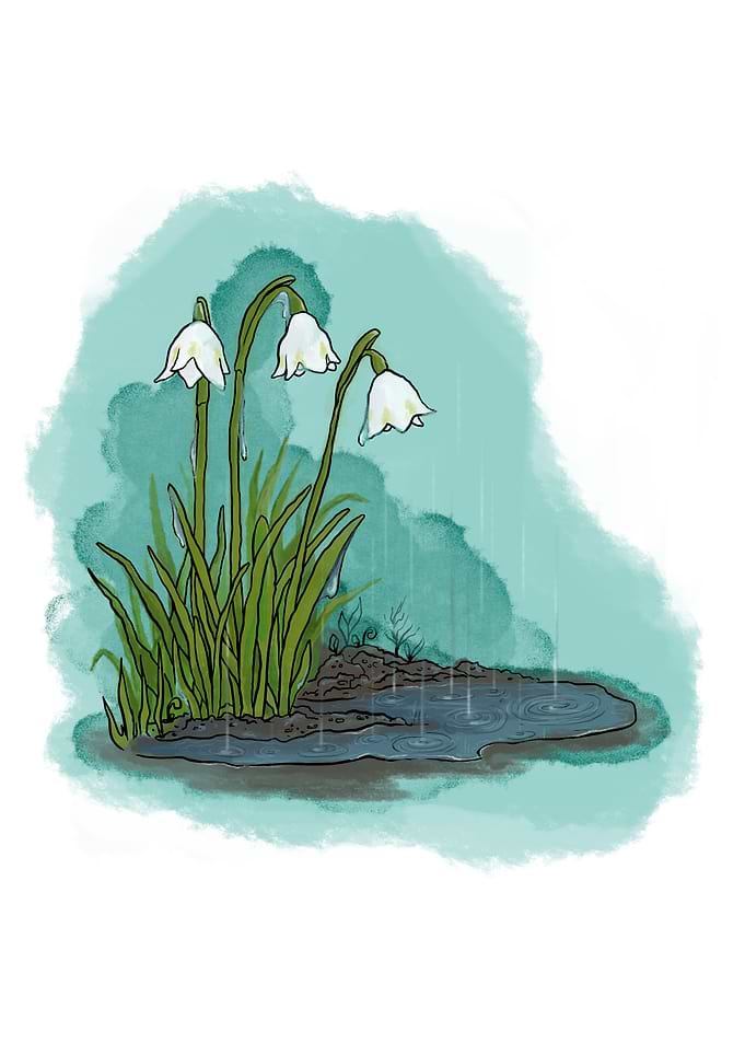 Rainy March